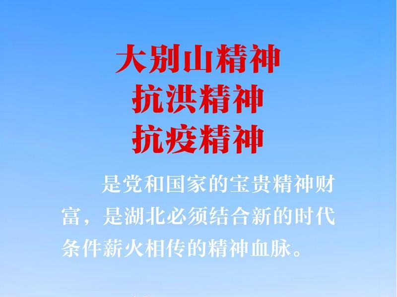 <a href="./zxzx/gzdt/202506/t20250603_706895.html">大力弘扬大别山精神、抗洪精神、抗疫精神，广泛践行社会主义核心价值观</a>
